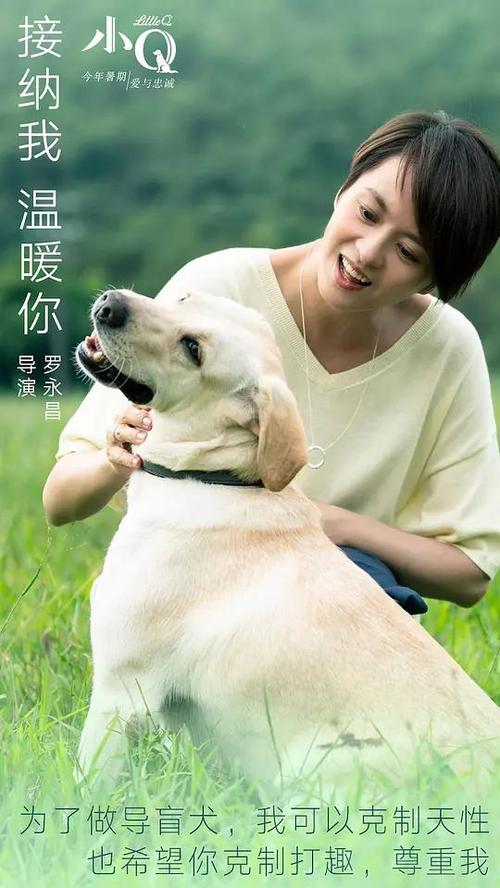 制作恩波里亚州立大学成绩单